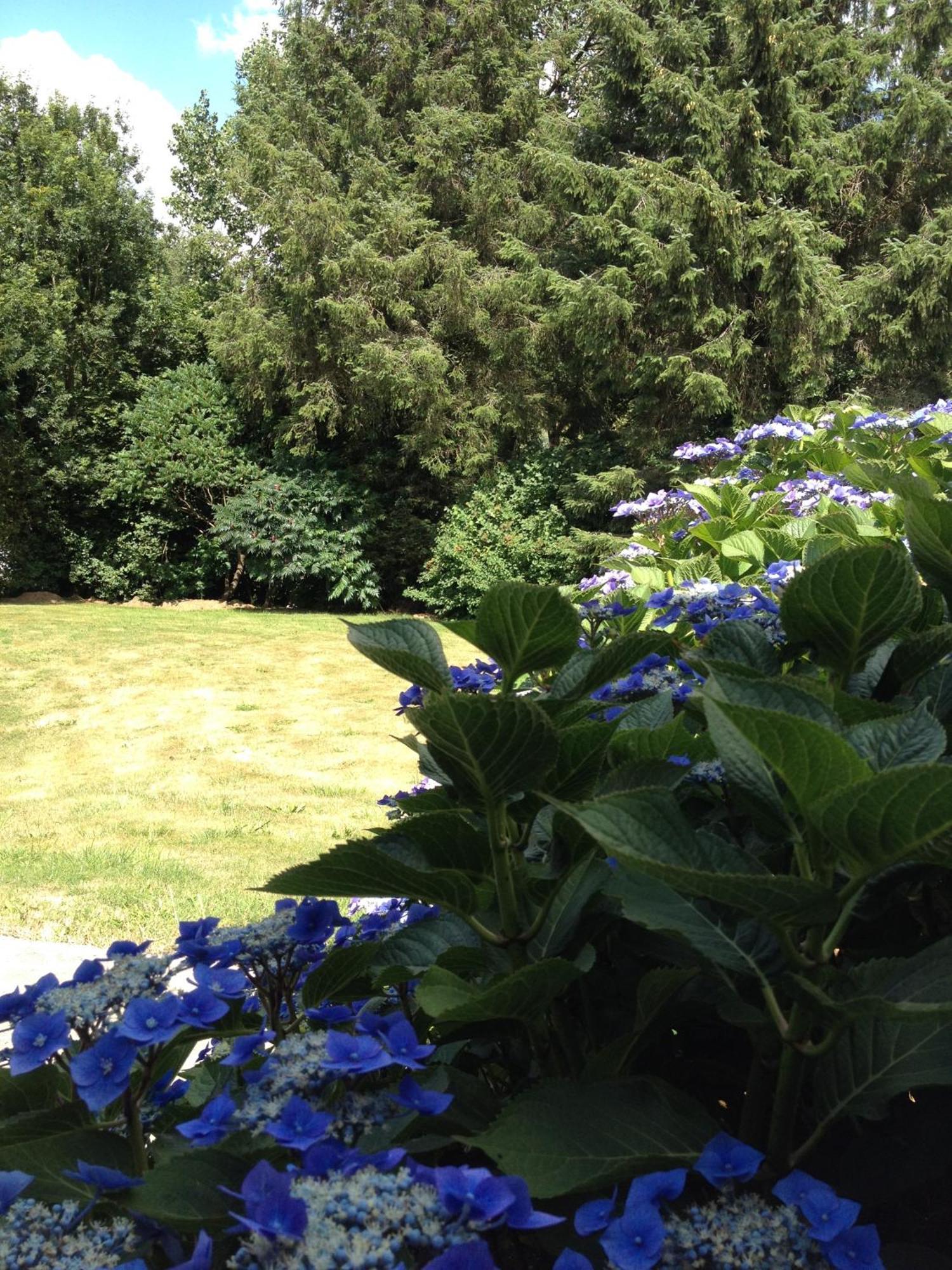 Les Tregorines-Squibernevez Villa Pedernec ภายนอก รูปภาพ
